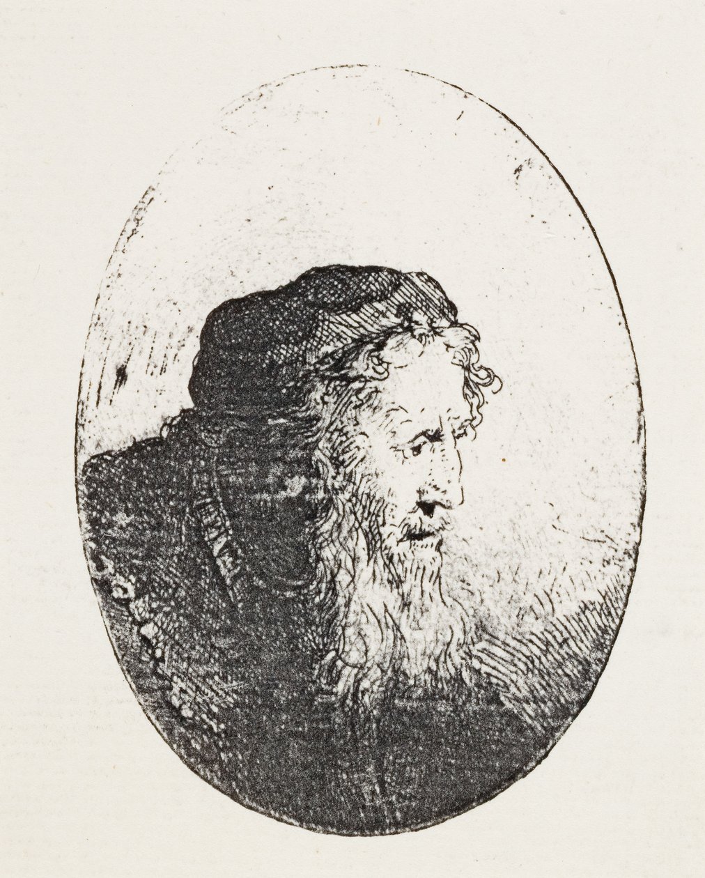 Bärtiger alter Mann, ca. 1644-46 von Ferdinand Bol