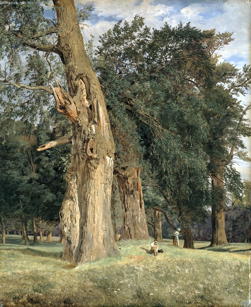Alte Ulmen im Prater, 1831 von Ferdinand Georg Waldmuller