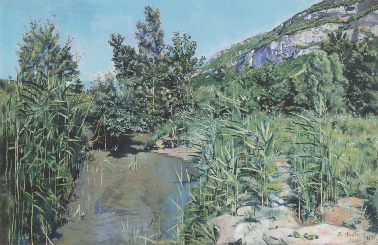 Am Fuß des Salève von Ferdinand Hodler