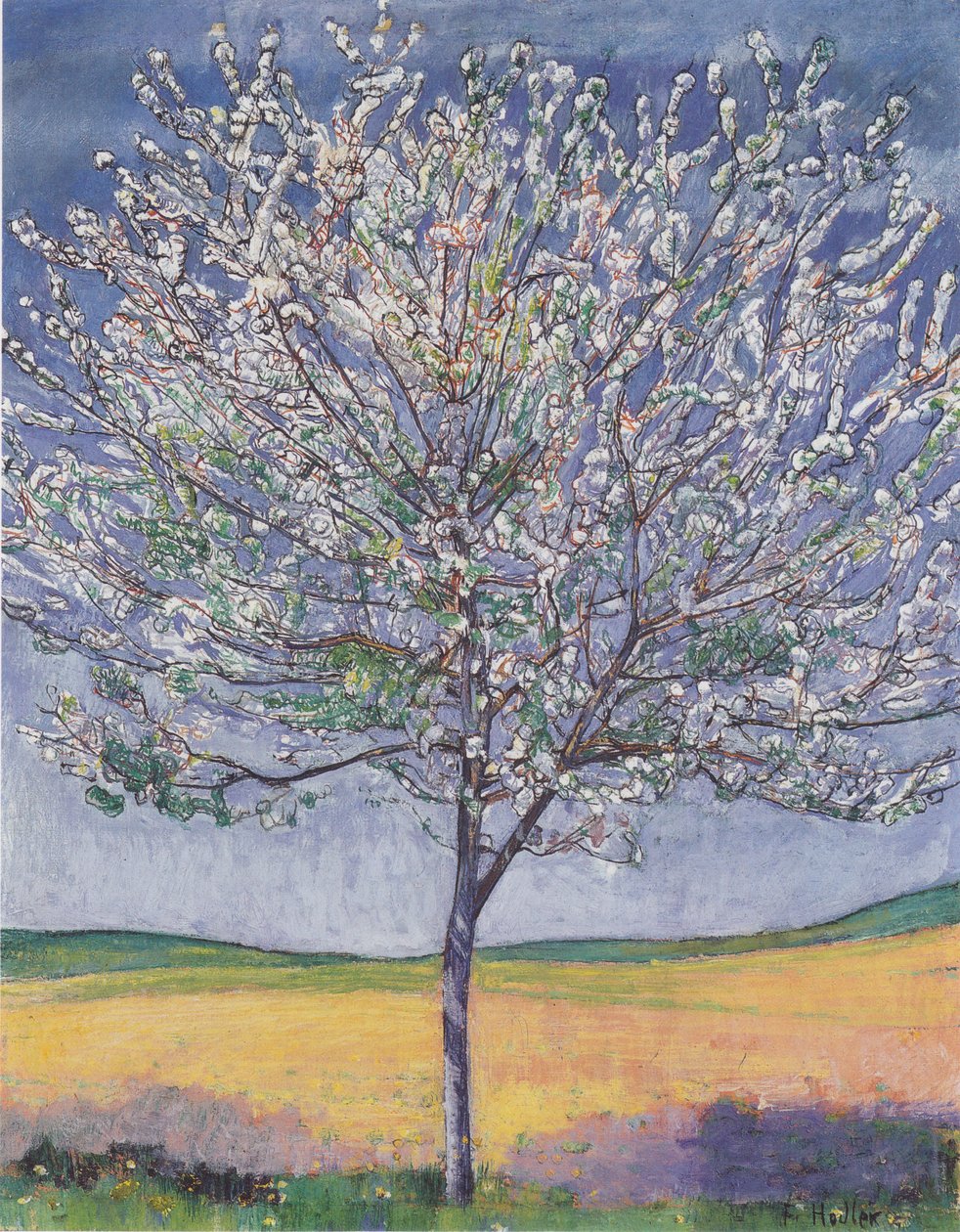 Blühender Kirschbaum von Ferdinand Hodler