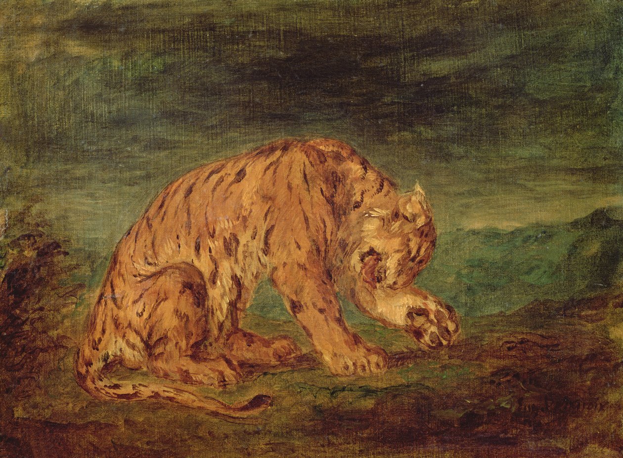 Tiger leckt eine Pfote von Ferdinand Victor Eugene Delacroix