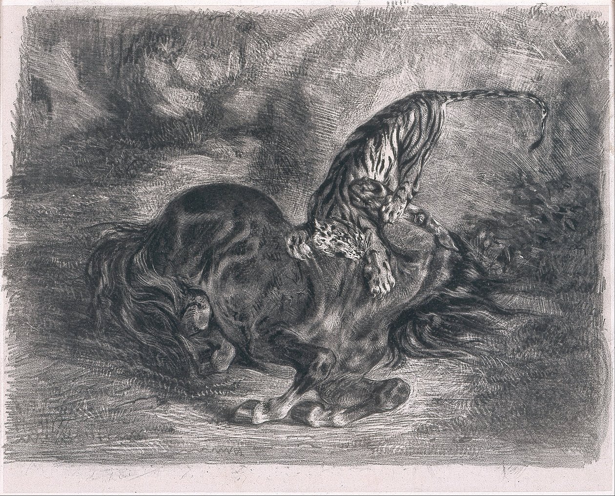 Wildes Pferd von einem Tiger niedergestreckt von Ferdinand Victor Eugene Delacroix