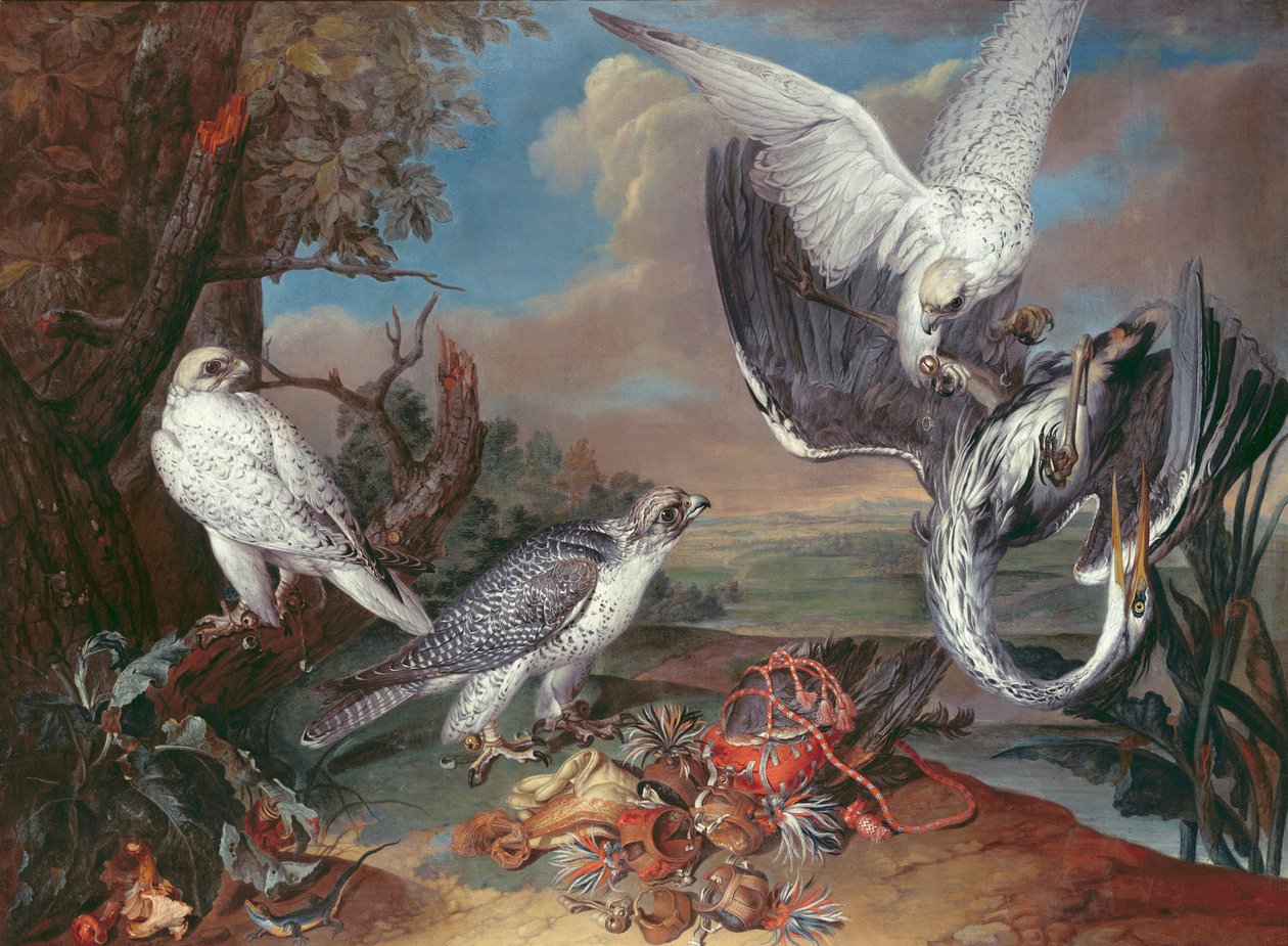 Grönland-Falken von Ferdinand Phillip de Hamilton