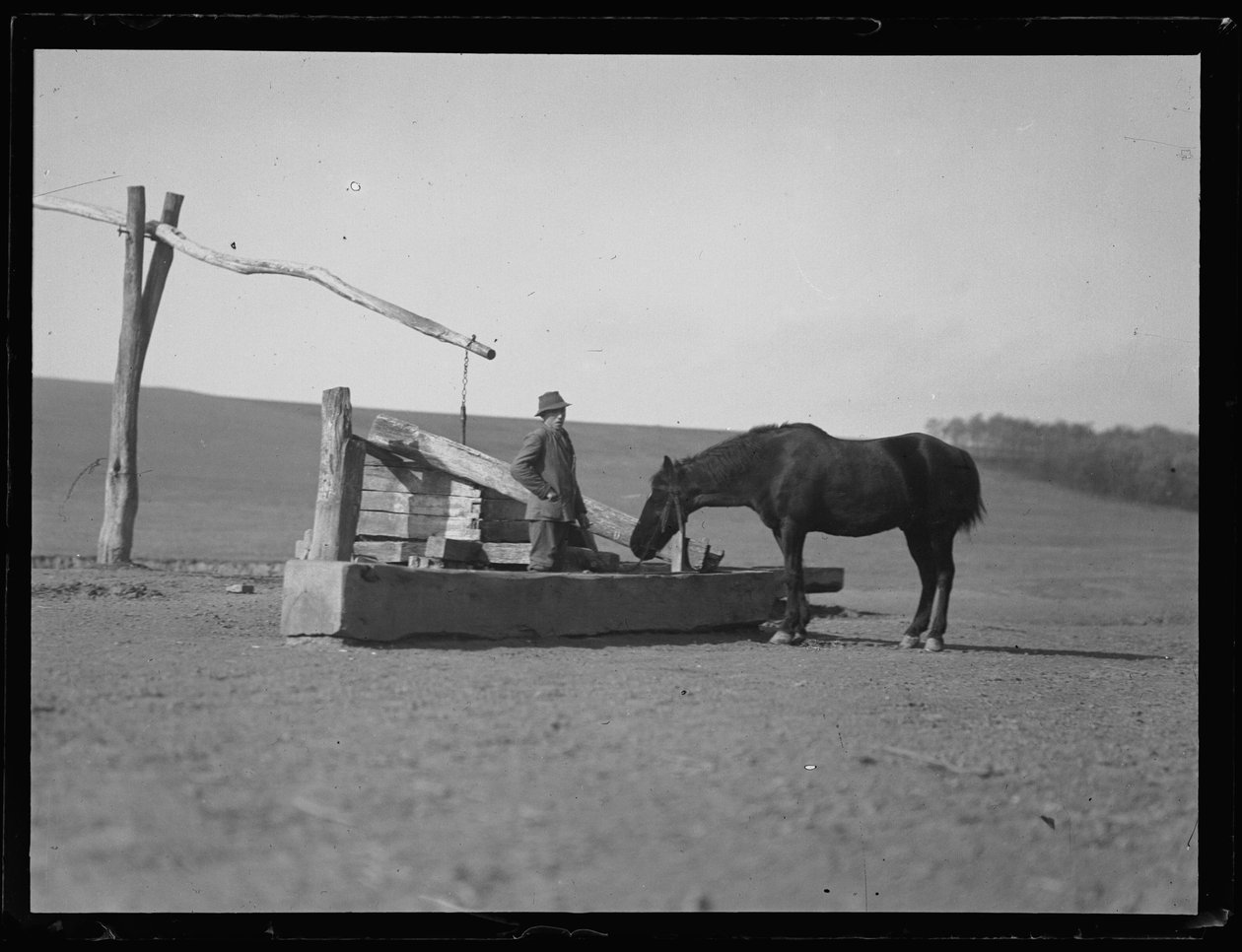 Pferd an der Wasserstelle von Ferdinand Schmutzer