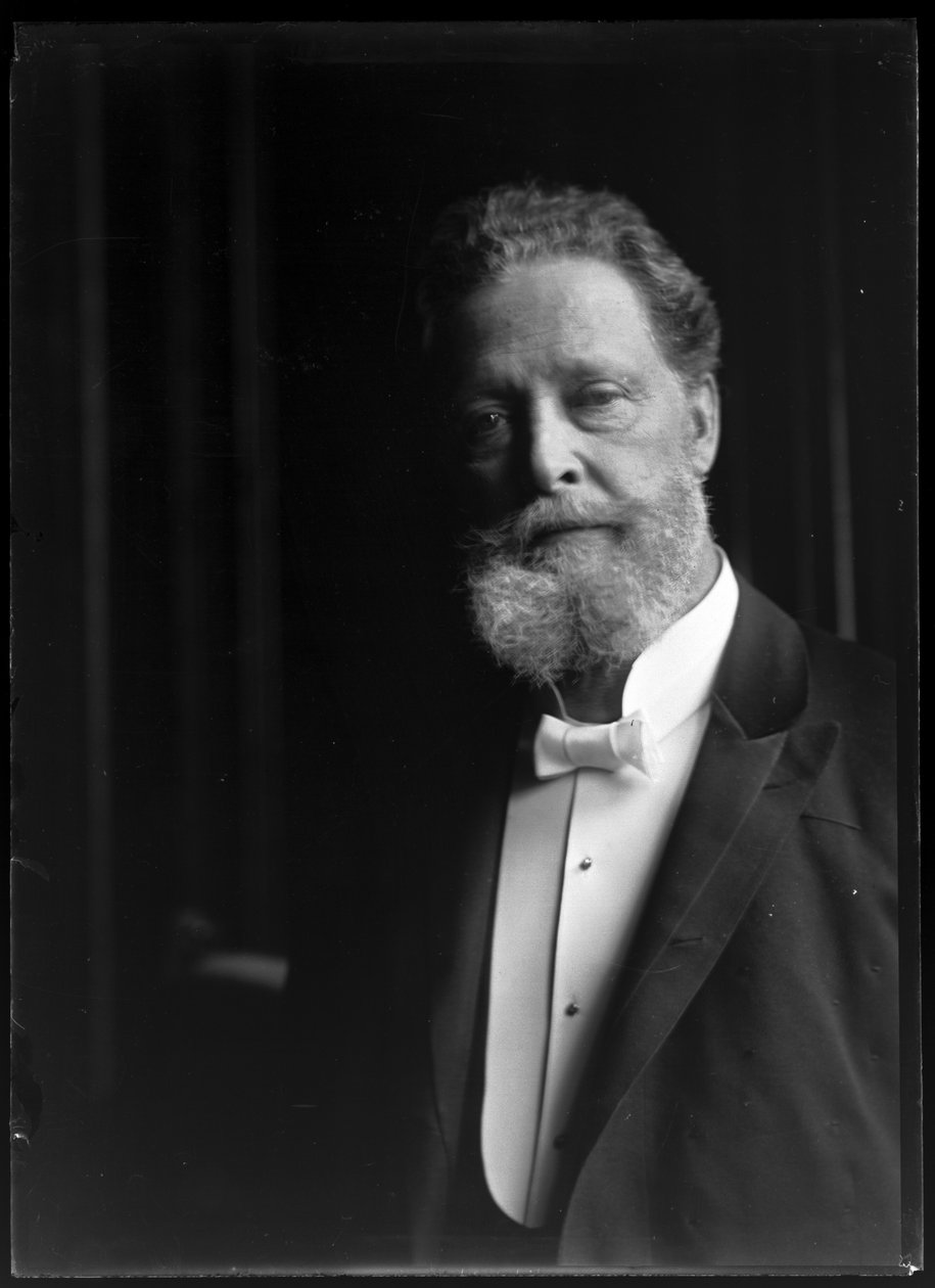 Bild von Karl Lueger (1897-1910) von Ferdinand Schmutzer