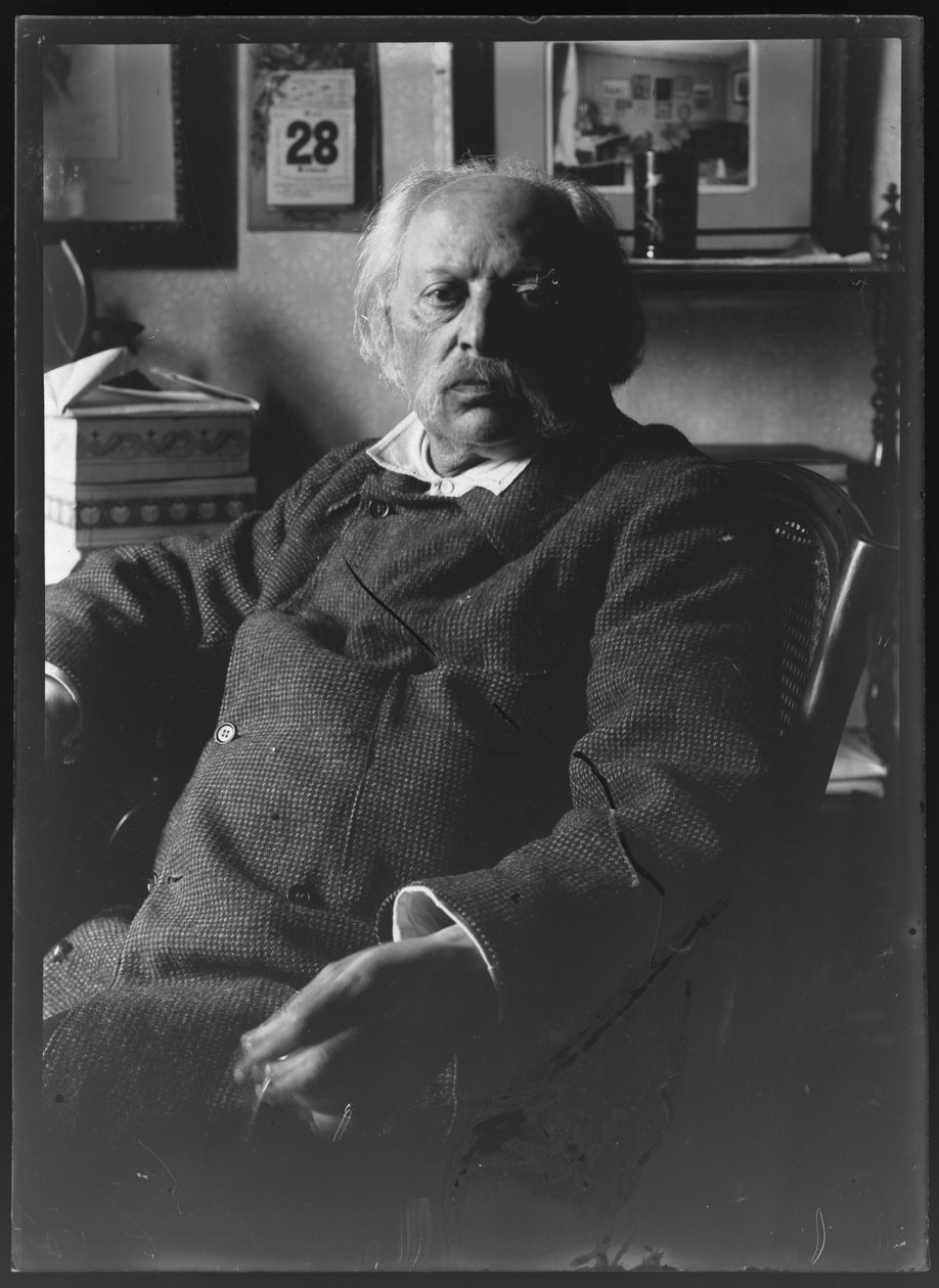 Bild von Charles Goldmark (1830-1915) von Ferdinand Schmutzer