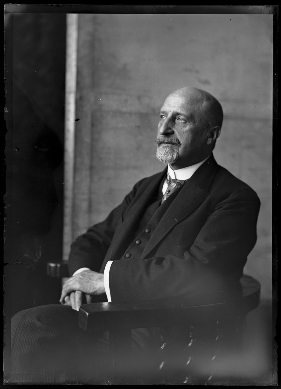 Bild von Karl Seitz (1869-1950) von Ferdinand Schmutzer