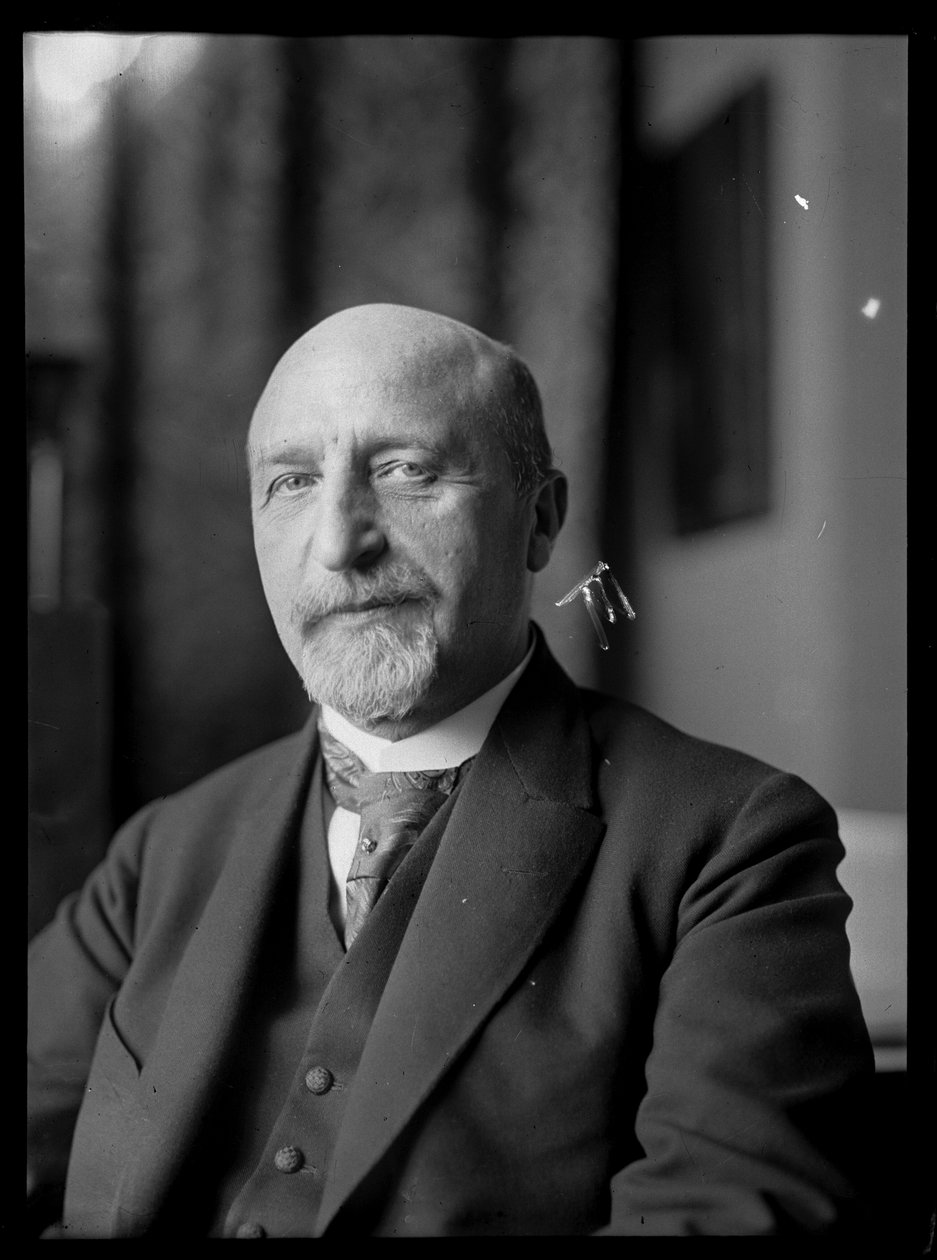 Bild von Karl Seitz (1869-1950) von Ferdinand Schmutzer