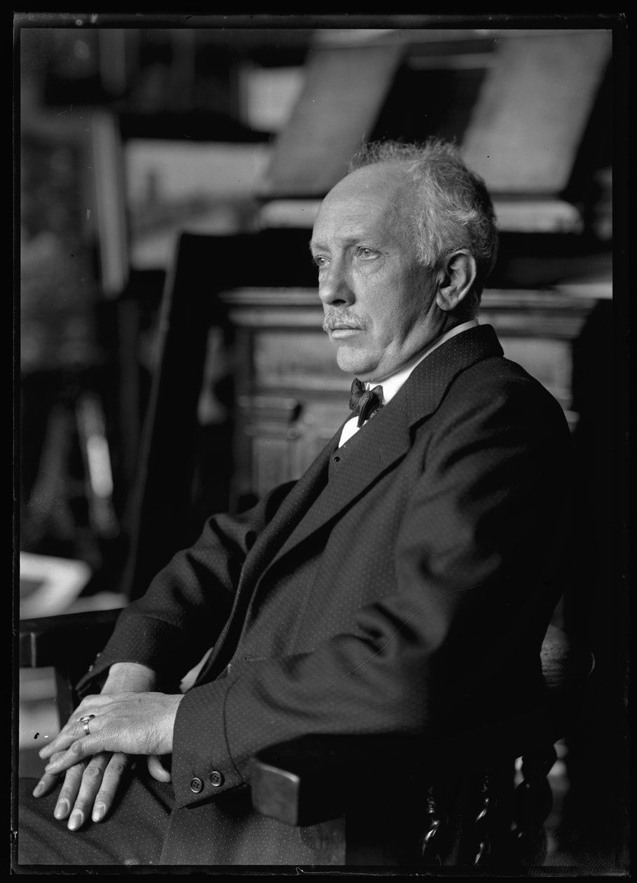 Bild von Richard Strauss (1864-1949) von Ferdinand Schmutzer