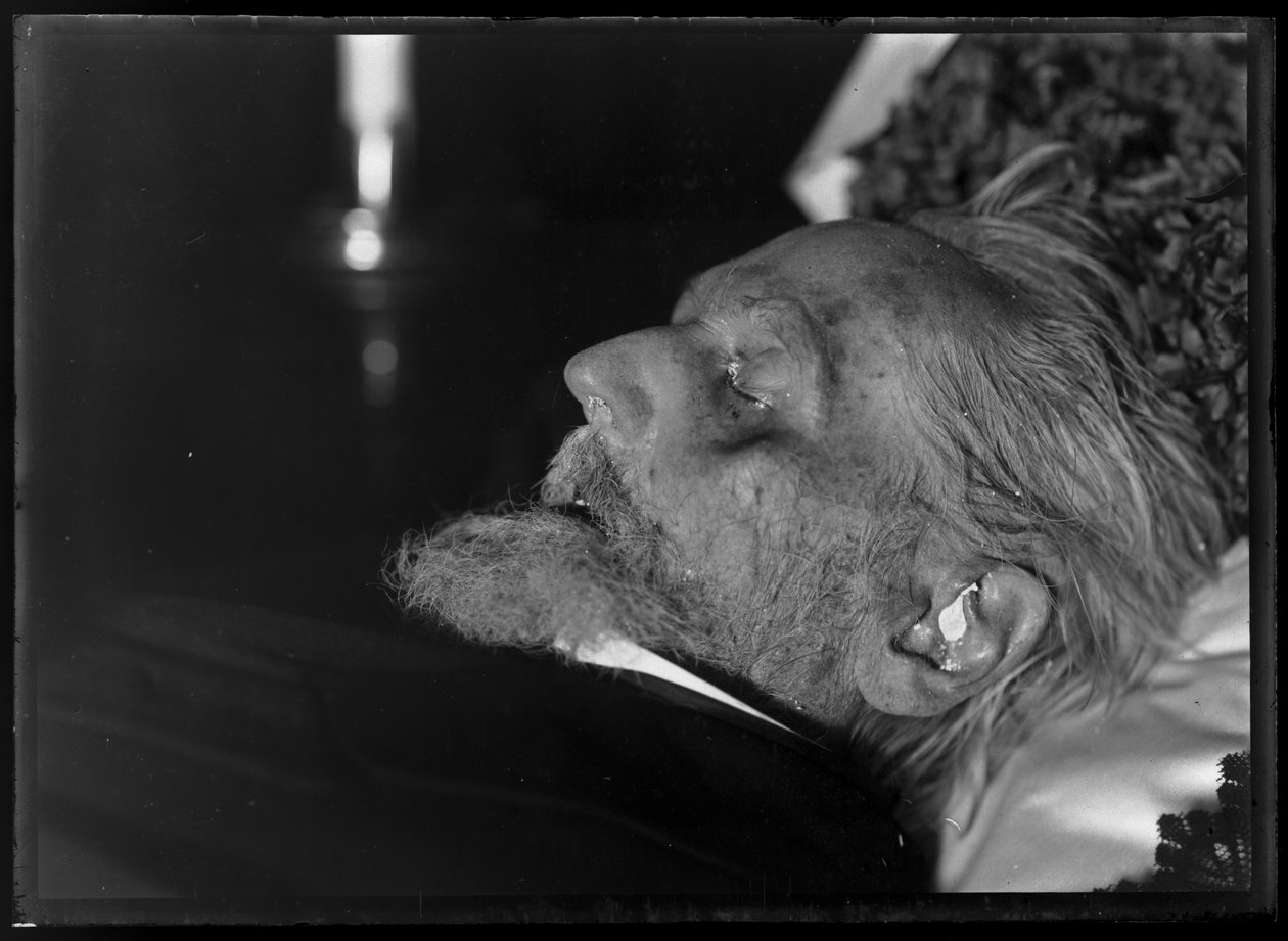Rudolf von Antiquar (1812-1905) auf dem Totenbett von Ferdinand Schmutzer