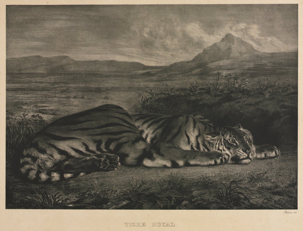 Königlicher Tiger von Ferdinand Victor Eugene Delacroix