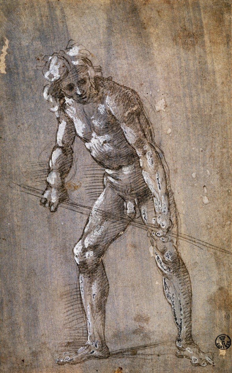 Männliche Figur von Filippino Lippi