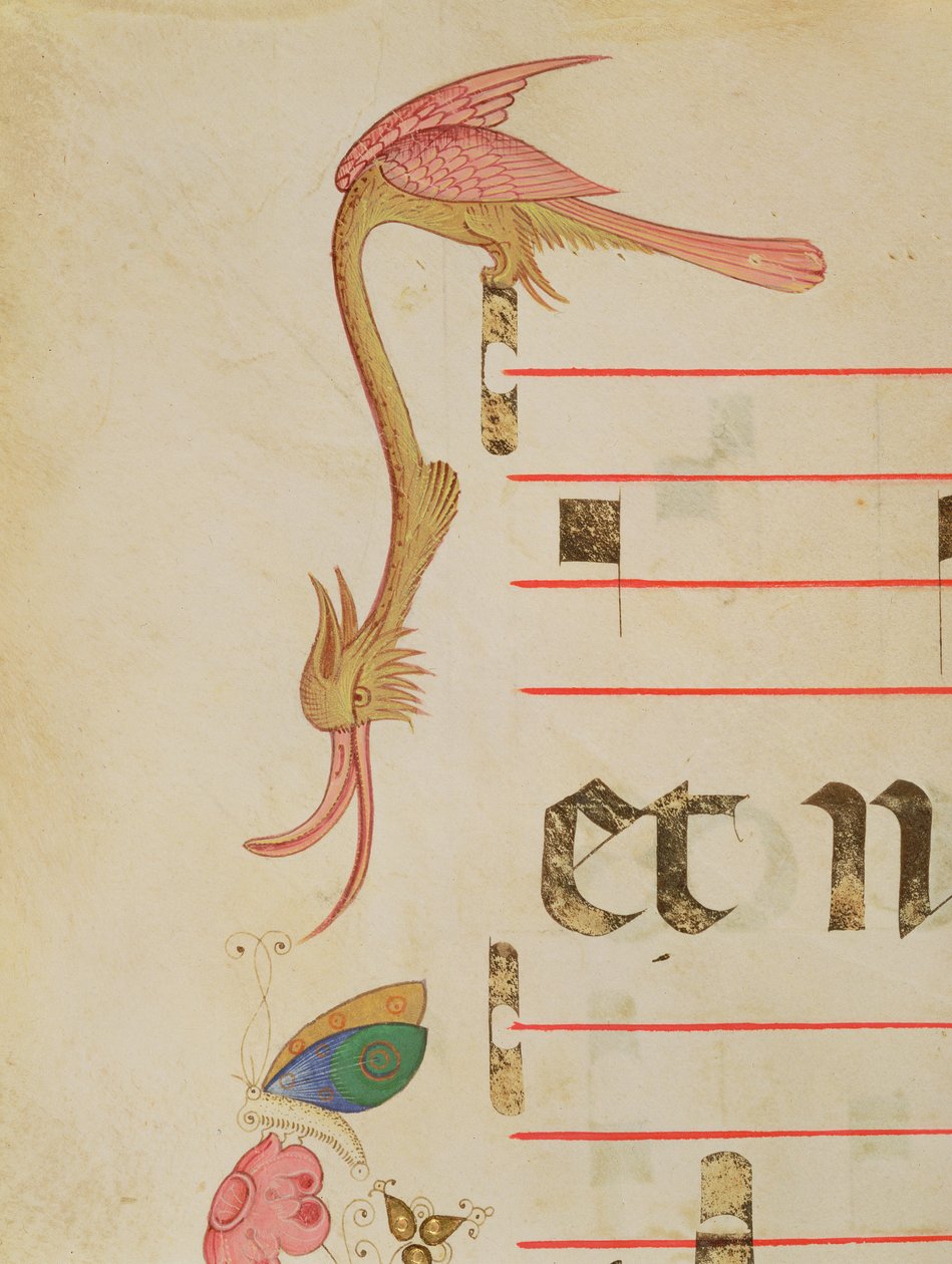 Missale 515 f.9r Fantastischer Vogel jagt einen Schmetterling (Detail des dekorativen Rahmens) von Filippo di Matteo Torelli