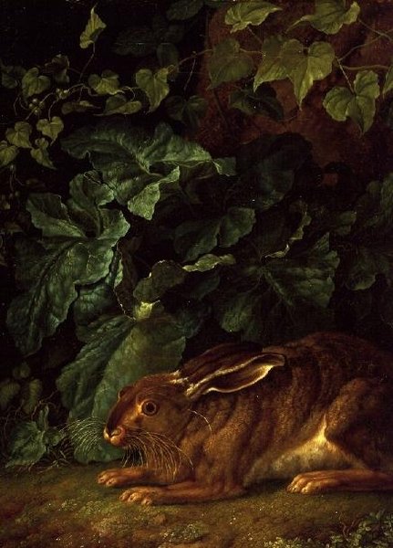 Ein Hase im Unterholz von Filippo Hackert
