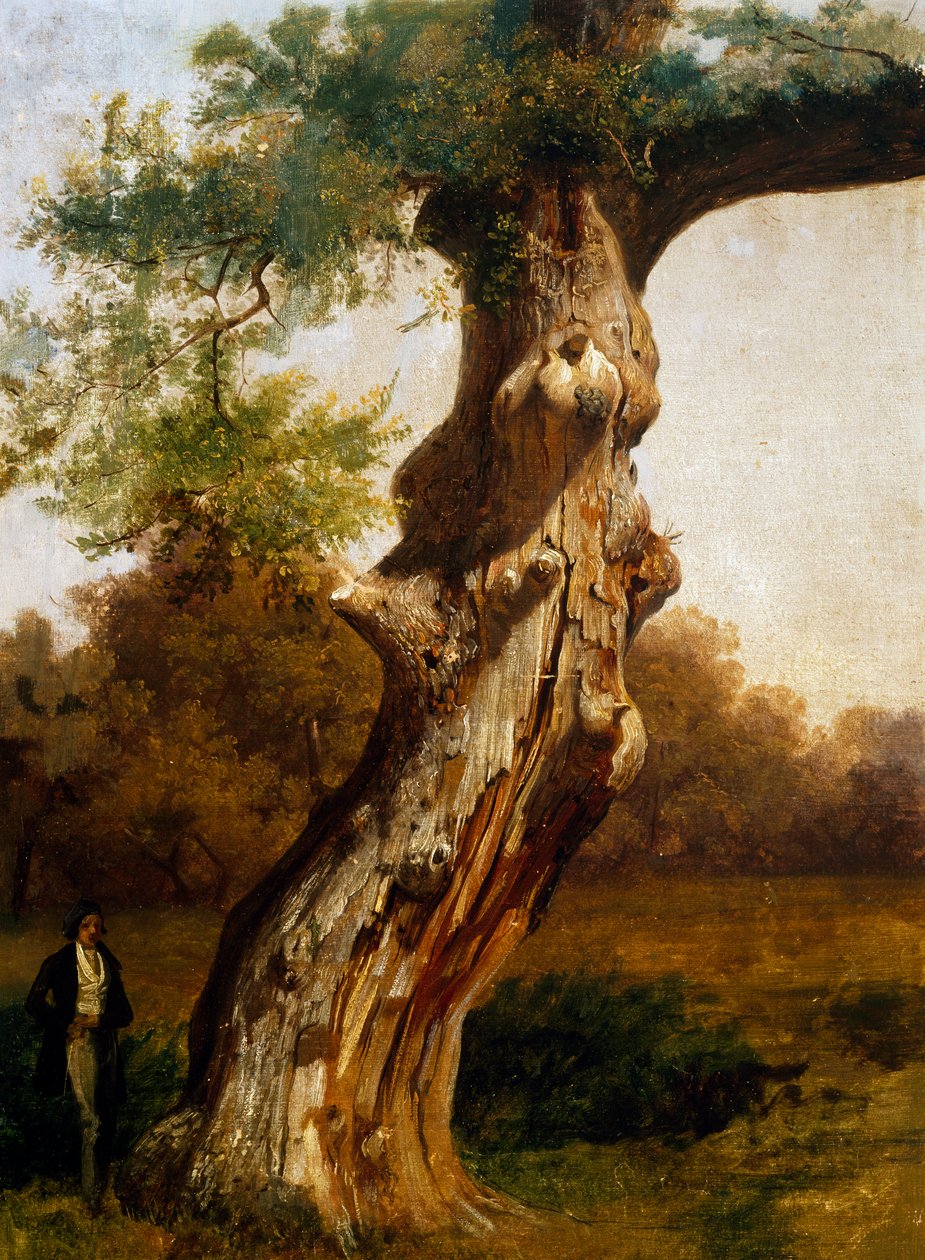 Der Baum von Filippo Palizzi