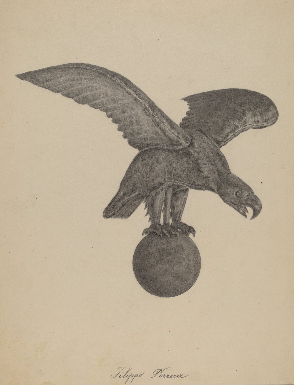 Adler von Filippo Porreca