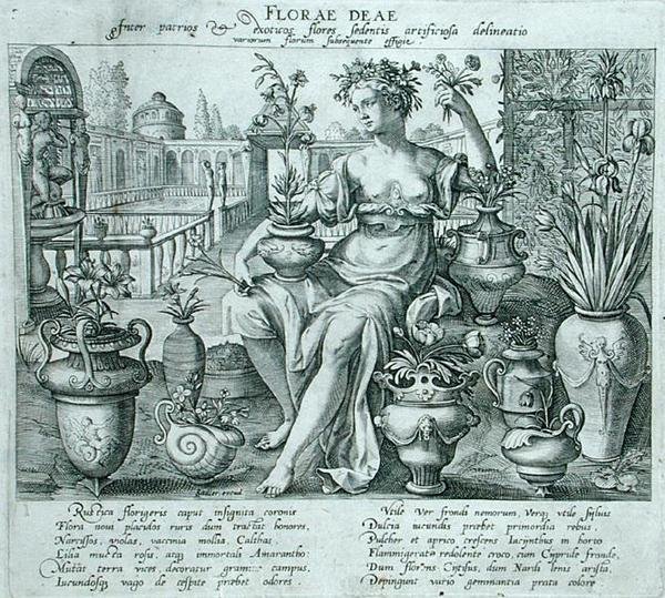 Flora von Flemish School
