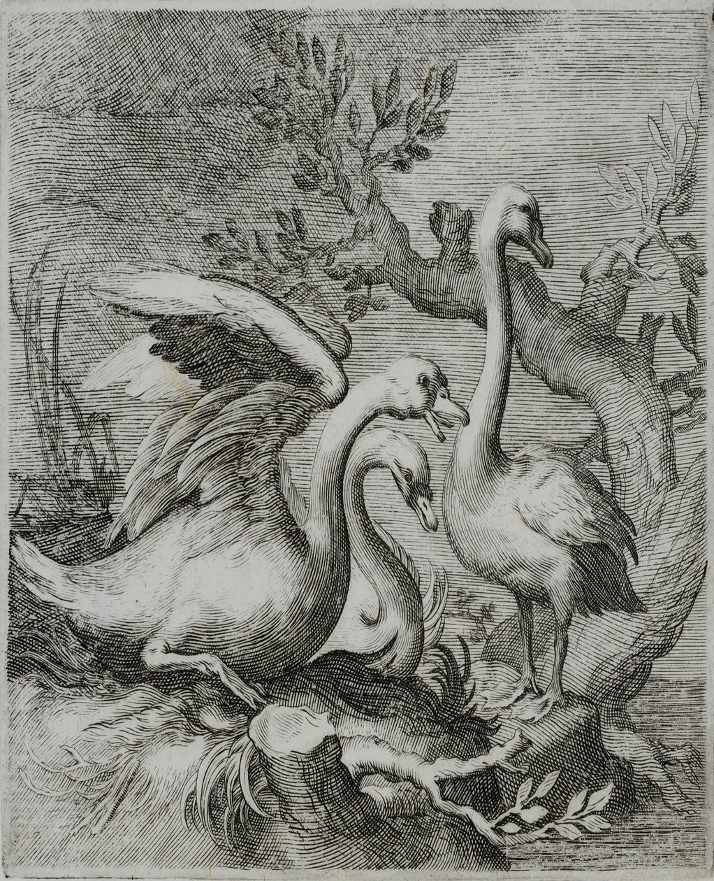 Alte Meister Gravur von Flemish School