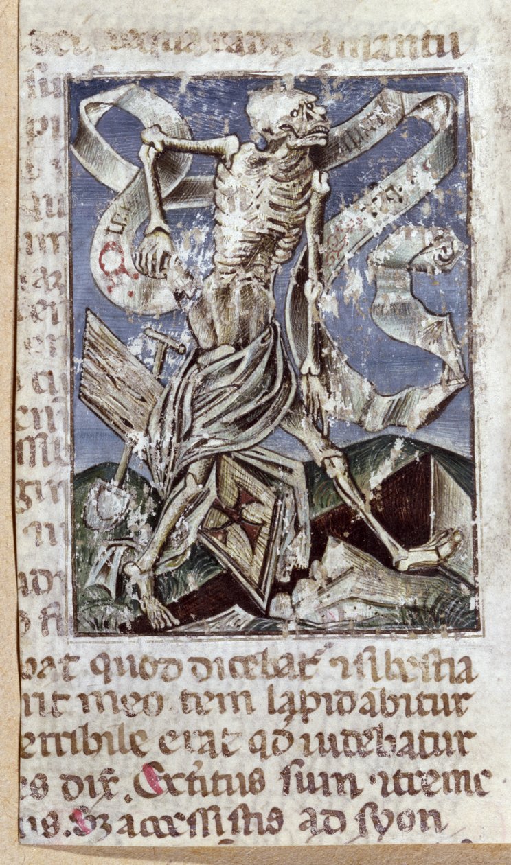 Der Triumph des Todes von Flemish School