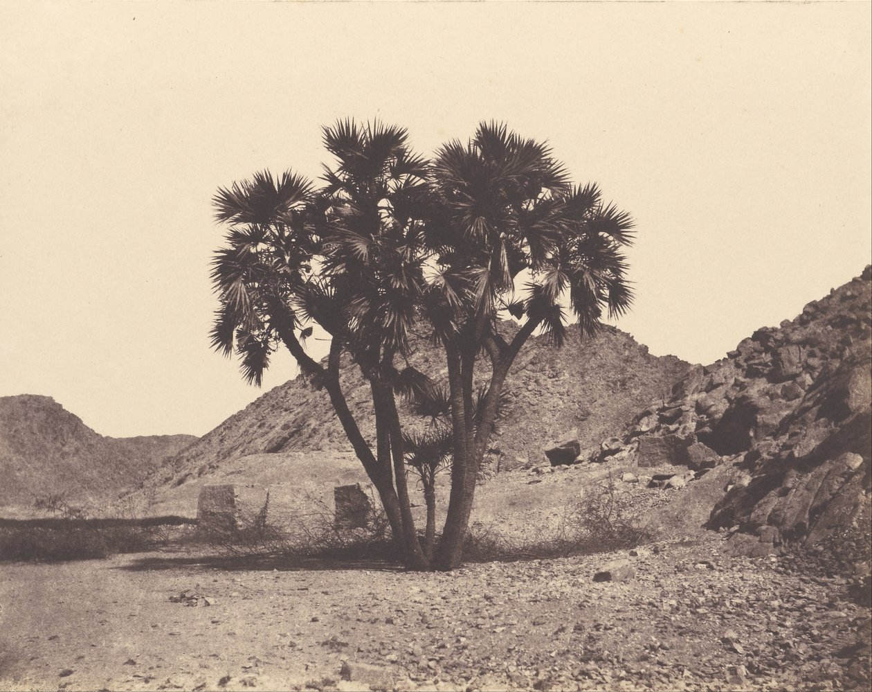 Ägypten und Nubien. Orte und Denkmäler von Félix Teynard