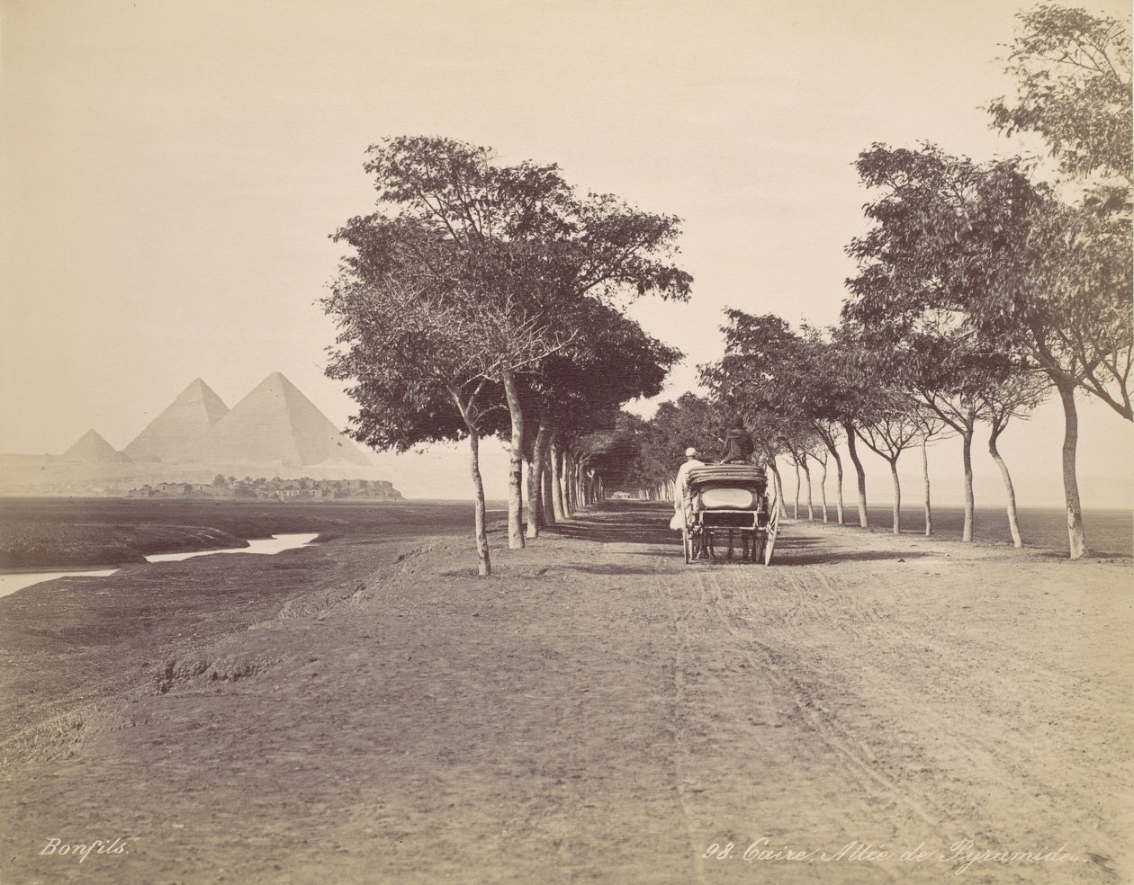 Kairo. Allee der Pyramiden, ca. 1870 von Félix Bonfils