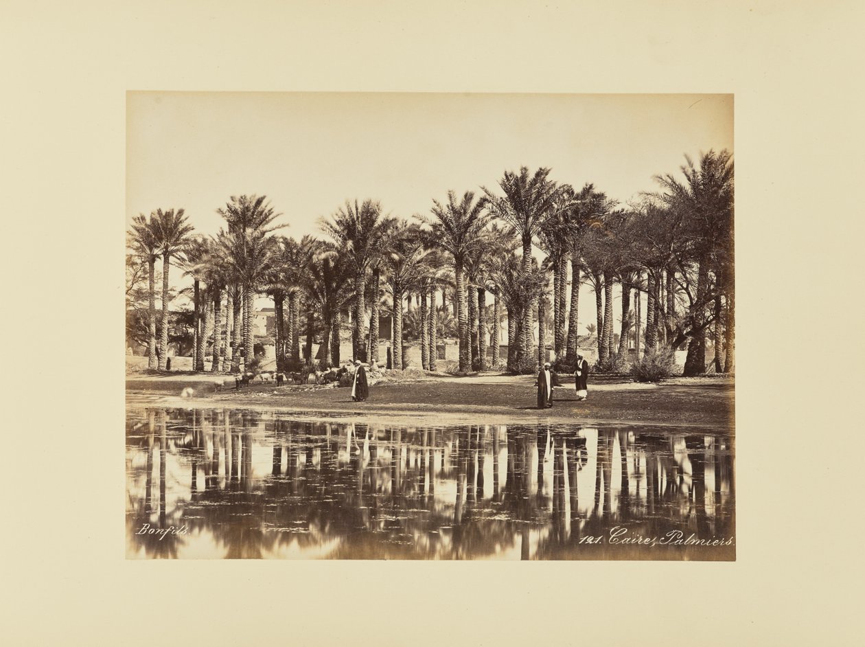 Kairo, Palmen von Félix Bonfils