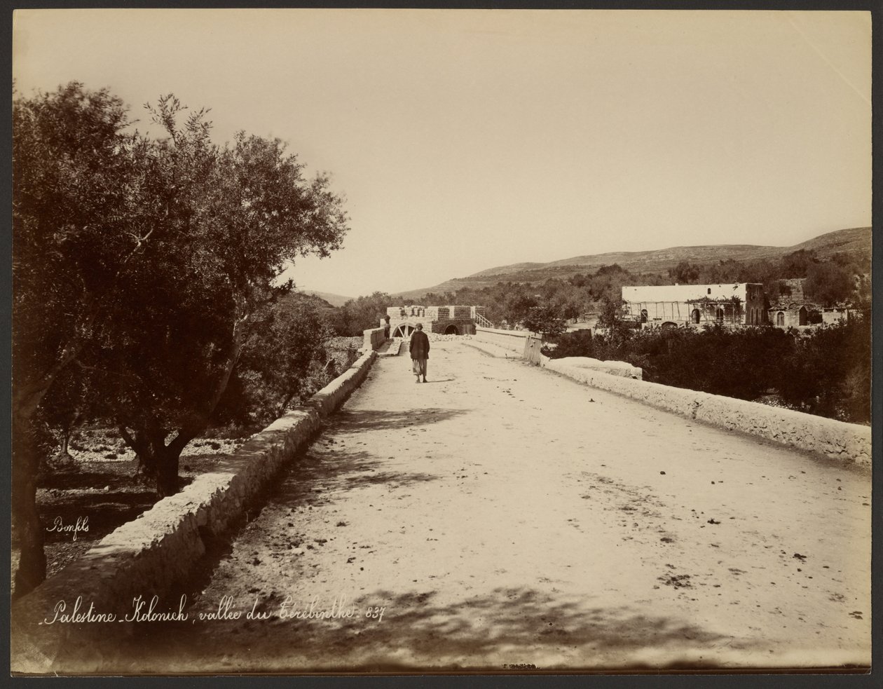 Palästina - Kolonick, Tal des Terebinths von Félix Bonfils