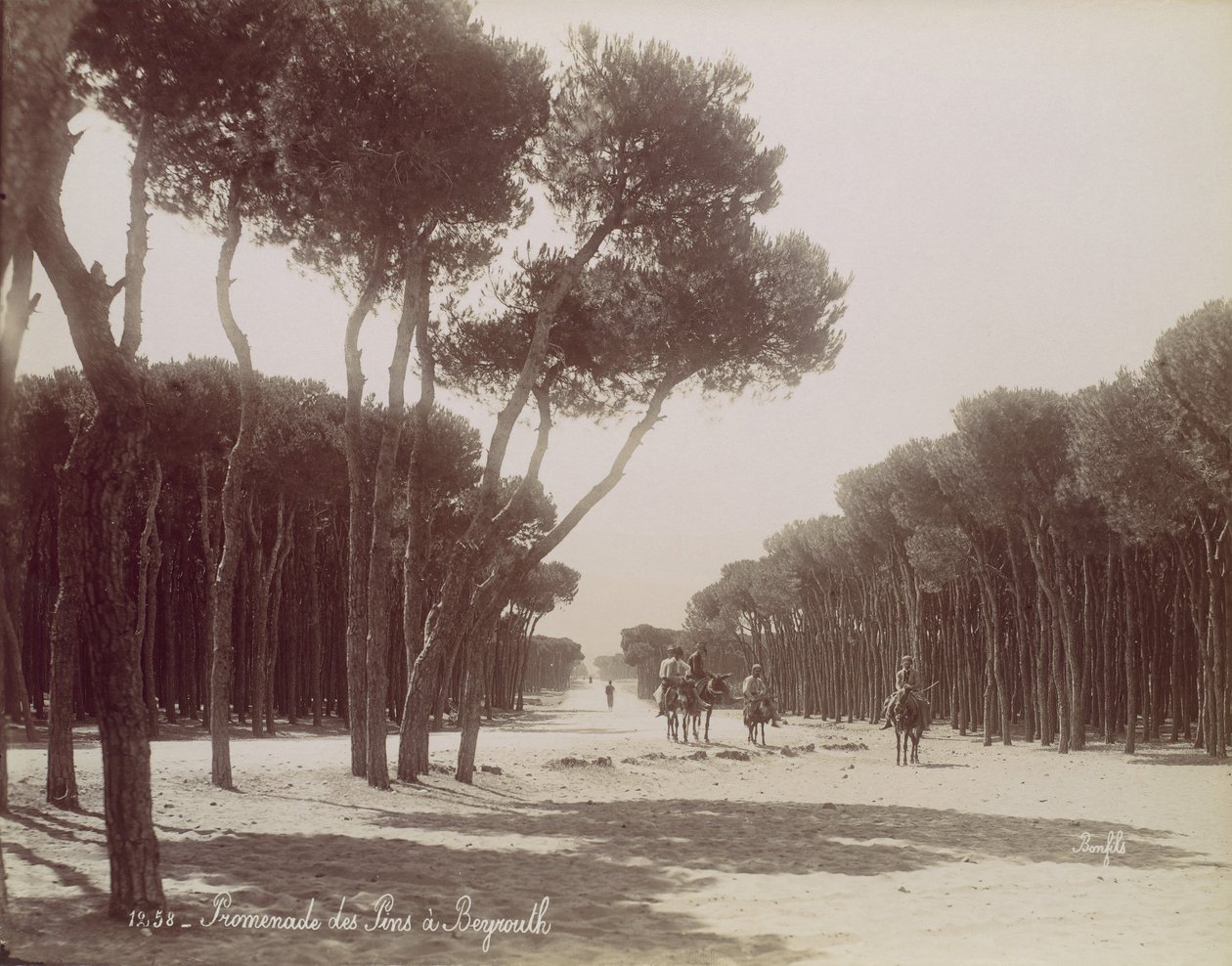 Promenade des Pins in Beirut, ca. 1870 von Félix Bonfils