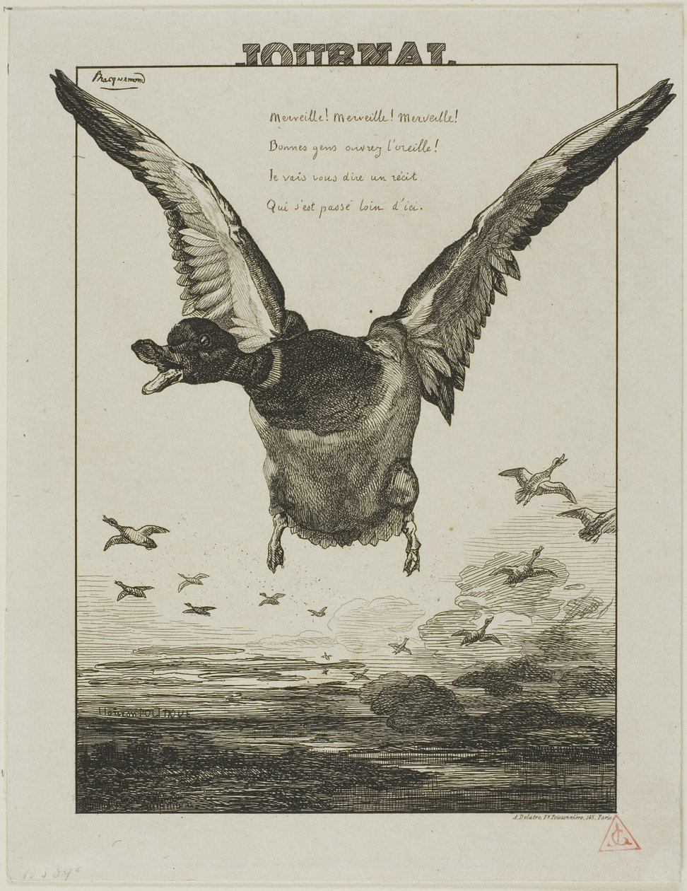 Die Ente von Félix Henri Bracquemond