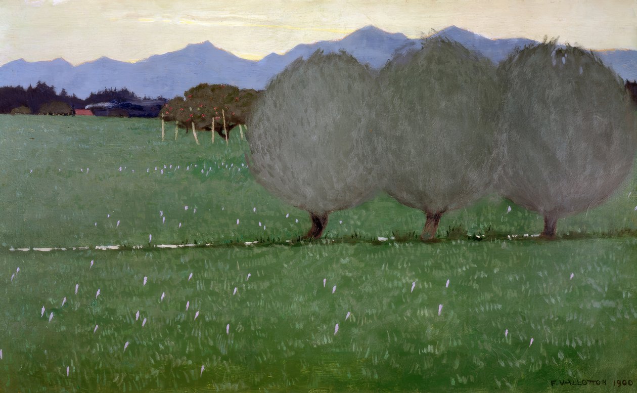 Die Weiden von Félix Vallotton