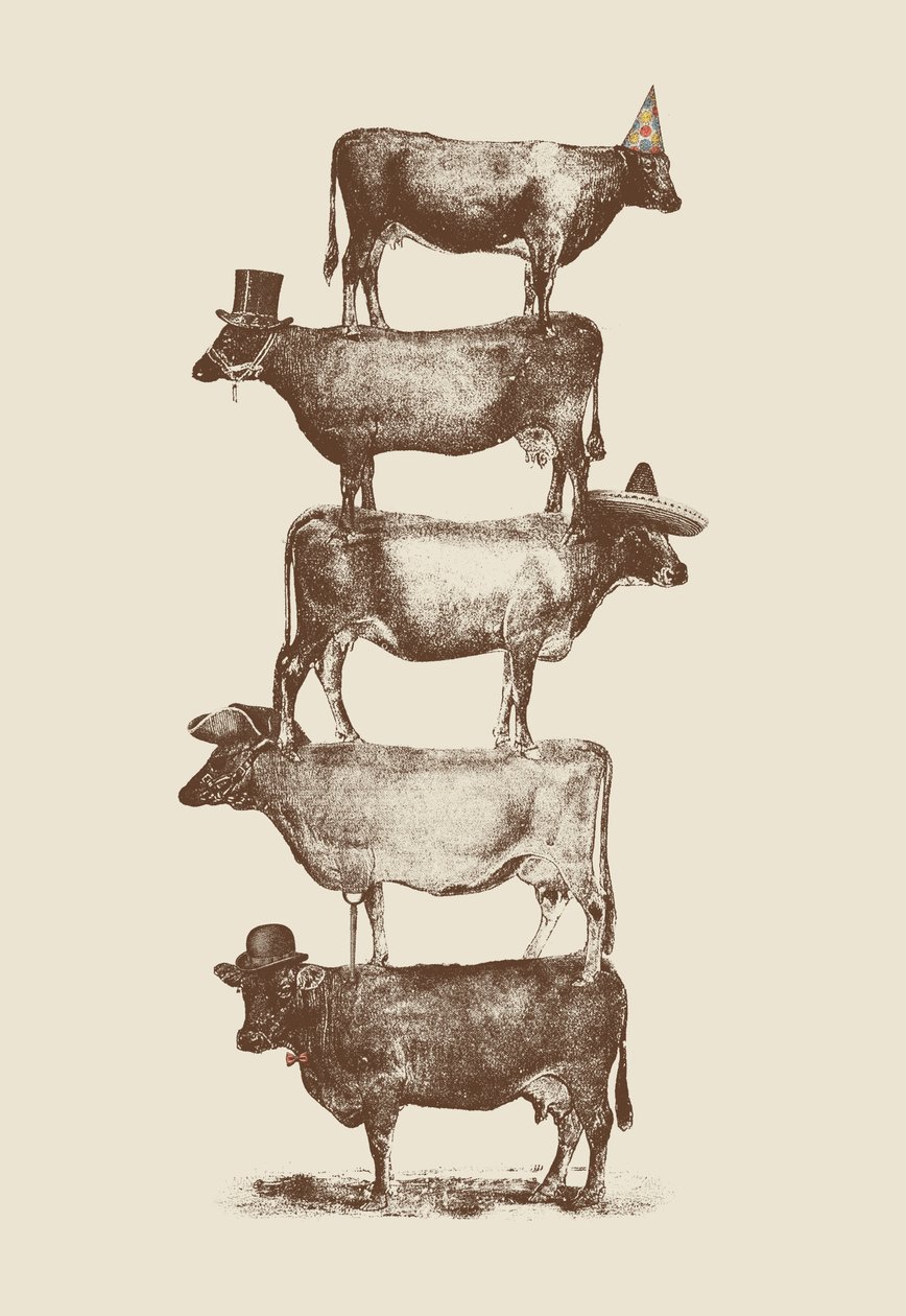 Kuh Kuh Nüsse von Florent Bodart