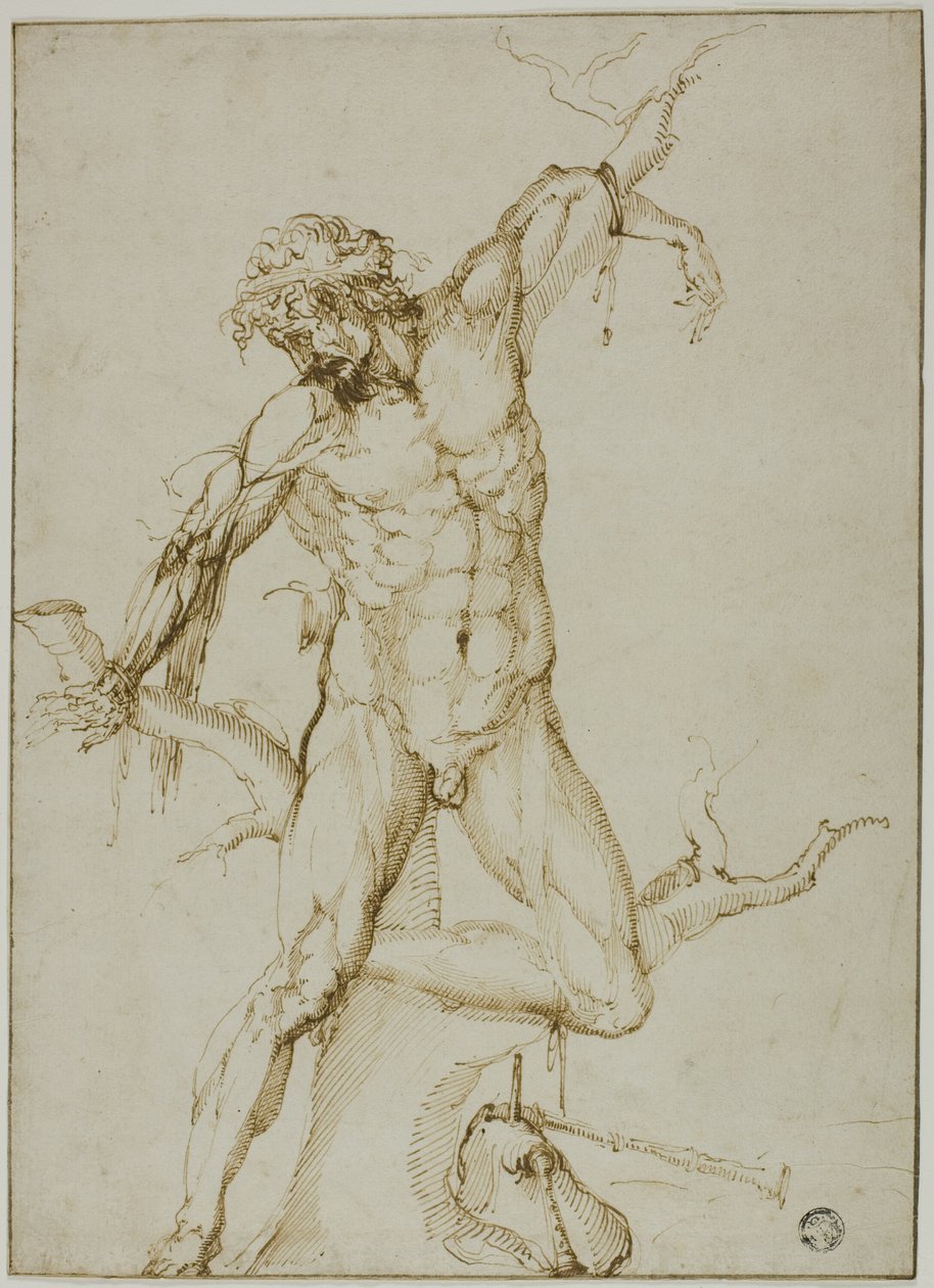 Marsyas an einen Baum gebunden von Follower of Baccio Bandinelli
