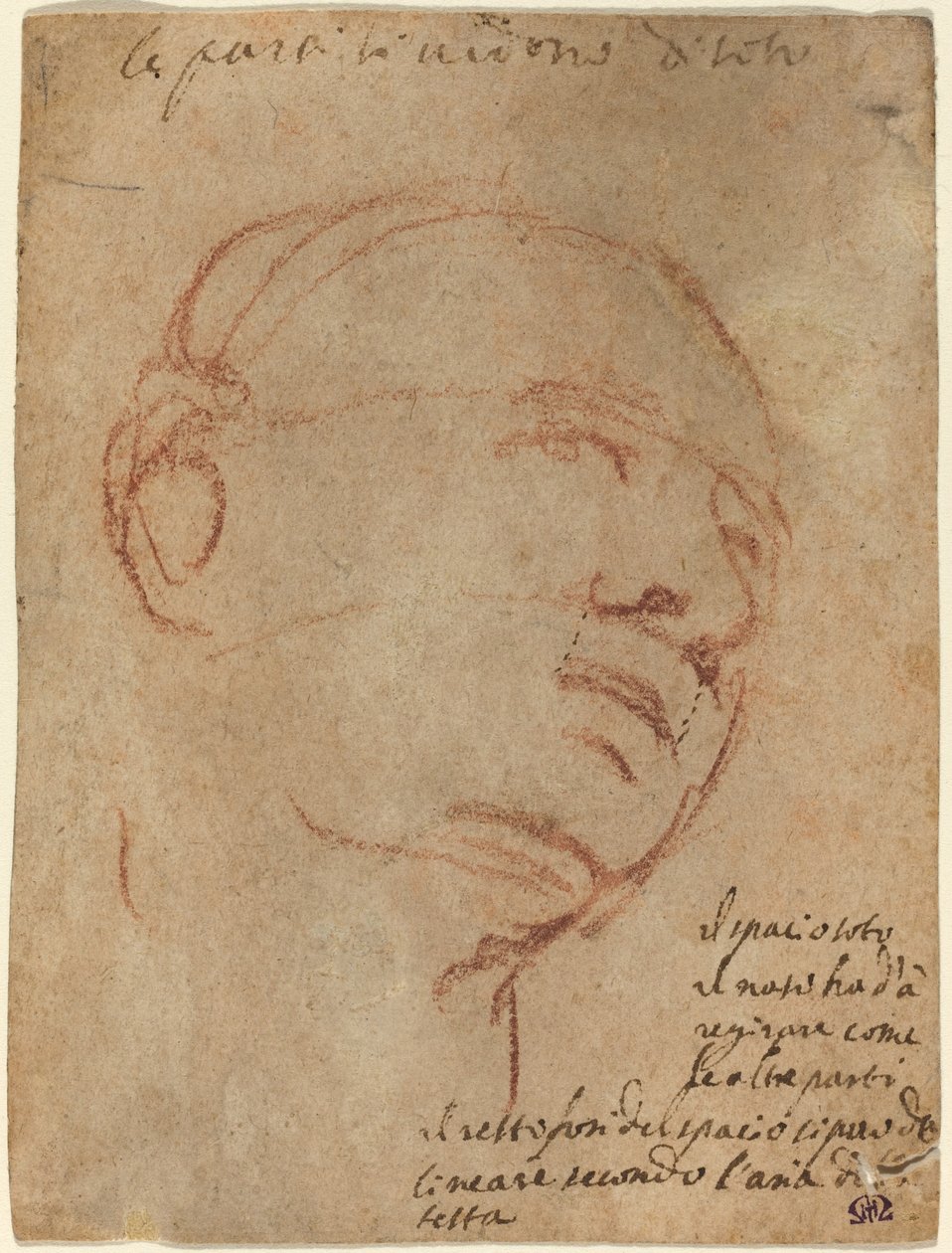 Kopf eines Mannes von Follower of Michelangelo