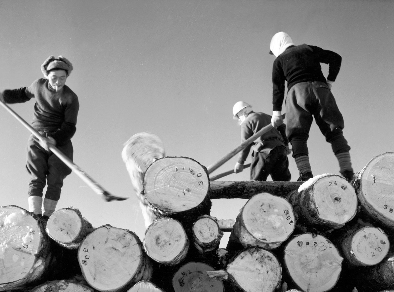 Holzfäller bei der Arbeit von Fosco Maraini