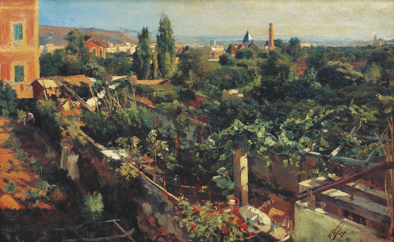 Die Weinreben von Francesc Gimeno