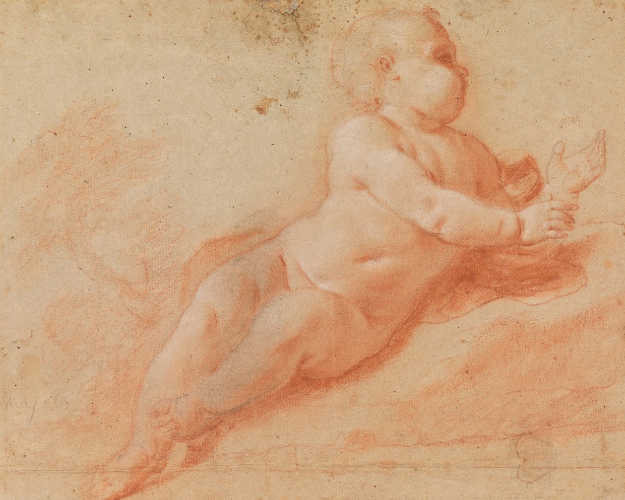 Studie eines nackten Kindes von Francesco Saverio Mergolo