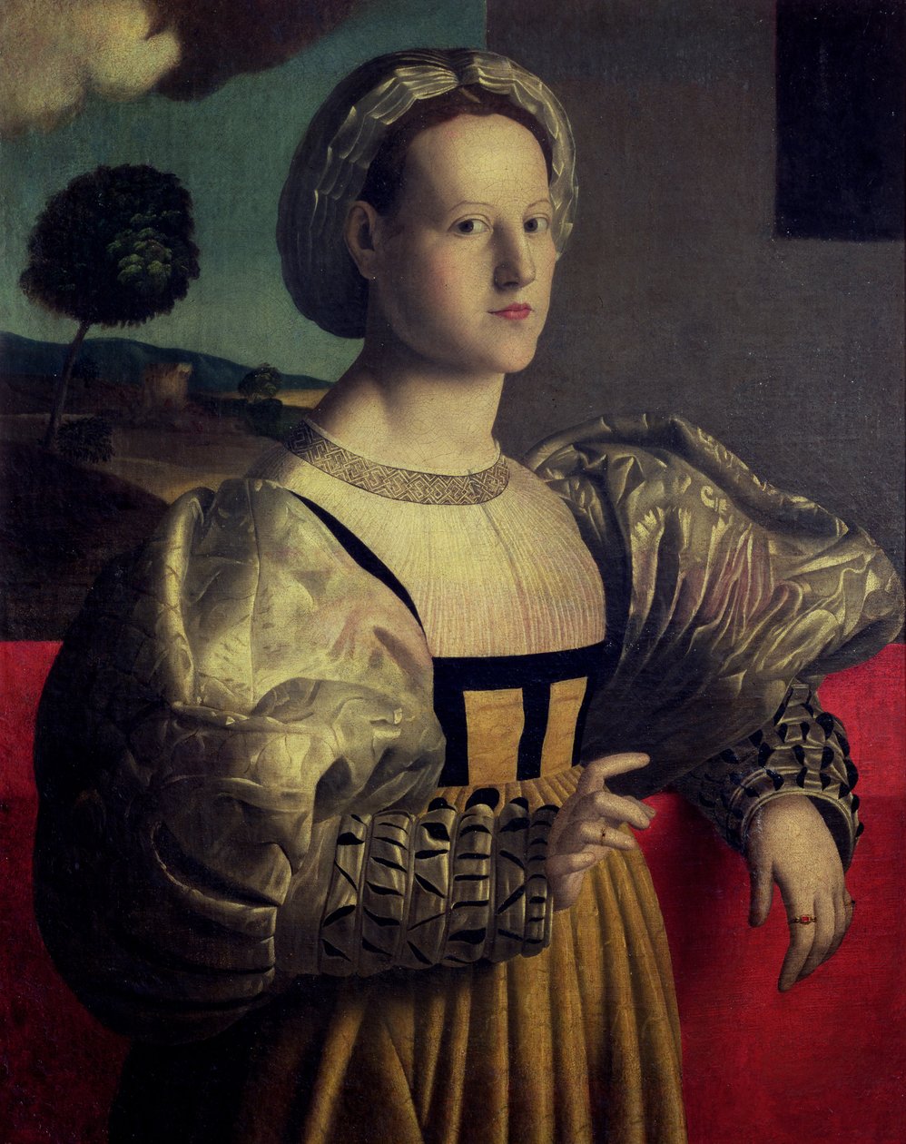 Porträt einer Dame von Francesco Ubertini Verdi Bachiacca