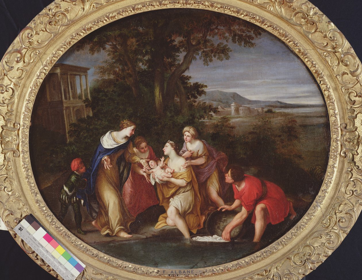 Moses aus dem Wasser gerettet von Francesco Albani
