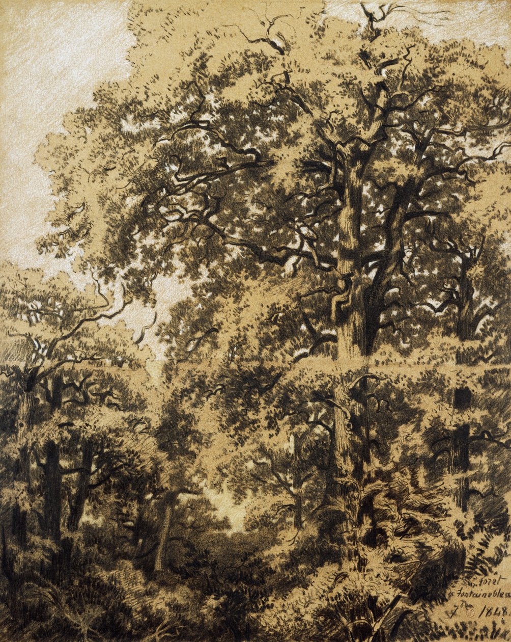 Wald von Fontainebleau von Francesco Gamba