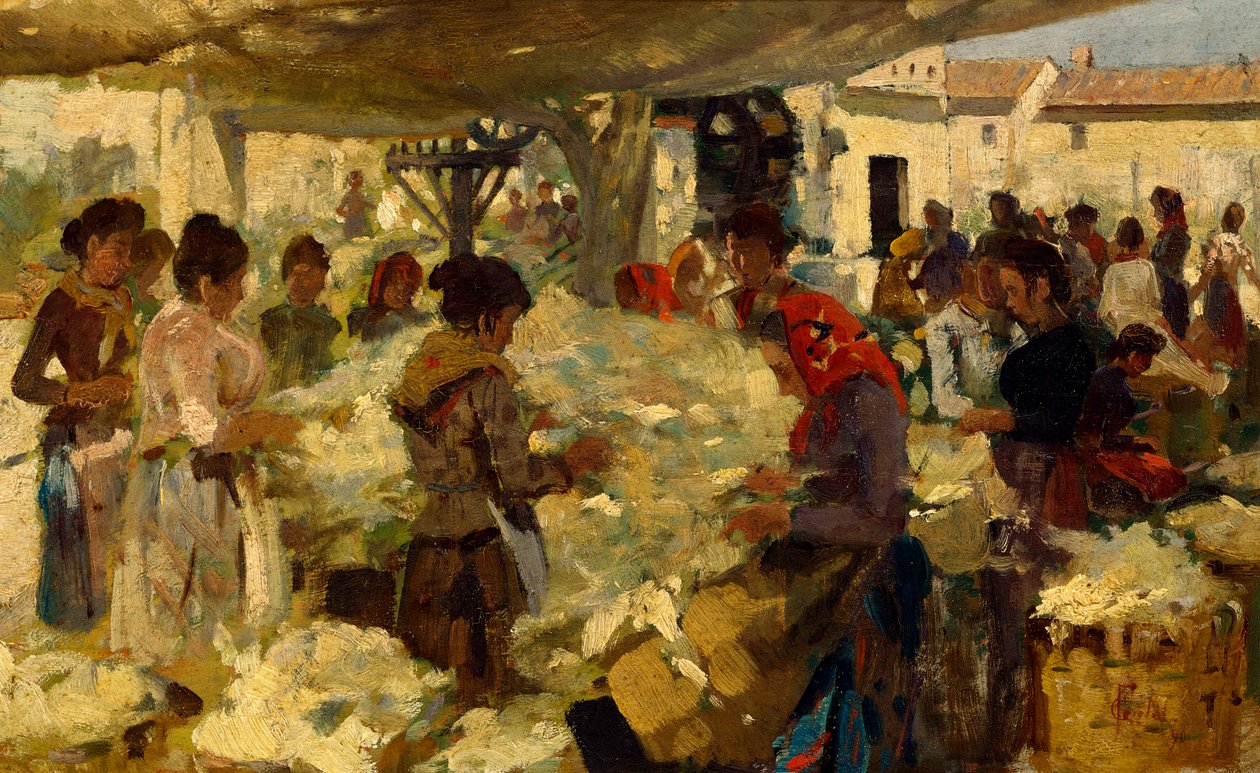 Wollverkäufer von Francesco Gioli