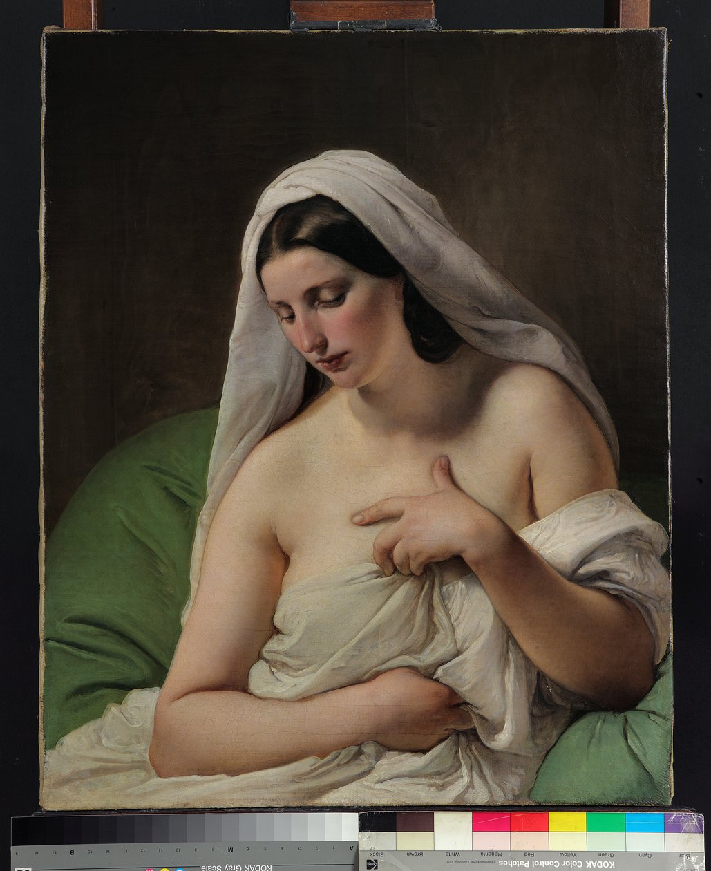 Die Odaliske von Francesco Hayez