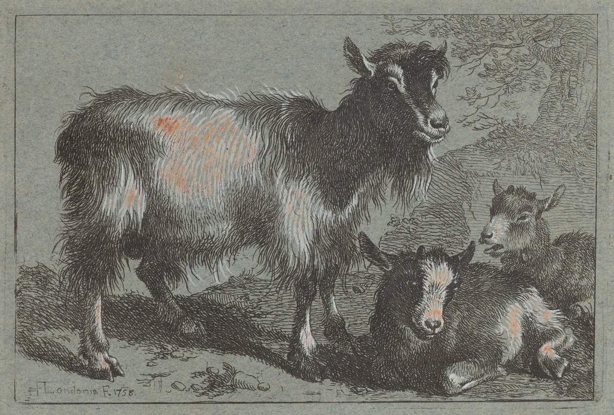 Ziege und zwei Kitze, 1758 von Francesco Londonio
