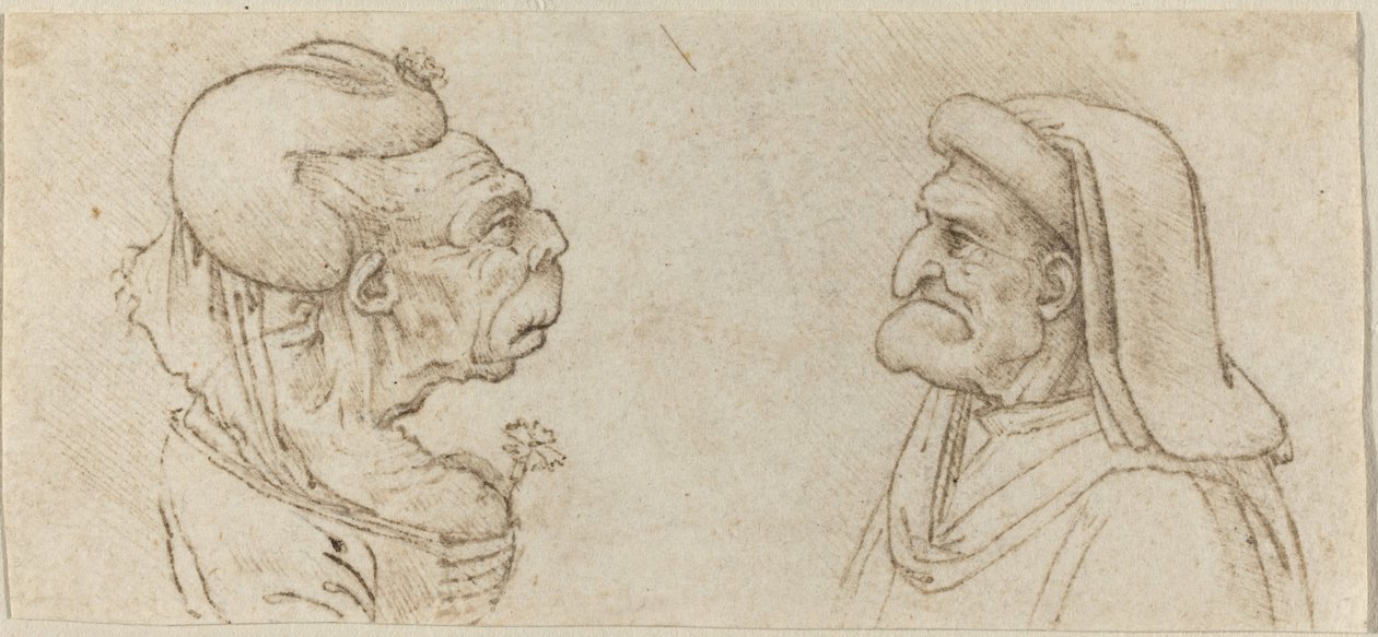 Zwei groteske Köpfe von Francesco Melzi after Leonardo da Vinci