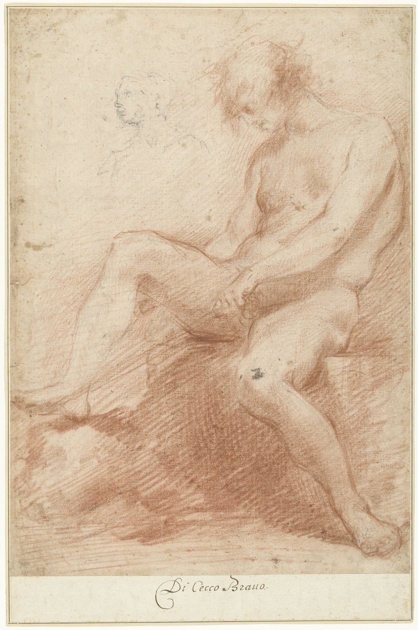 Studie eines männlichen Aktmodells von Francesco Montelatici