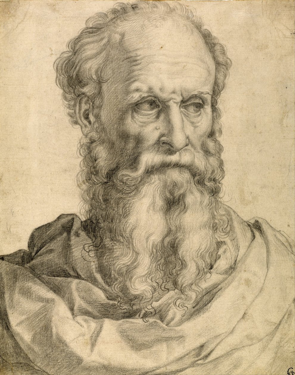 Kopf und Schultern eines bärtigen Mannes von Francesco Salviati
