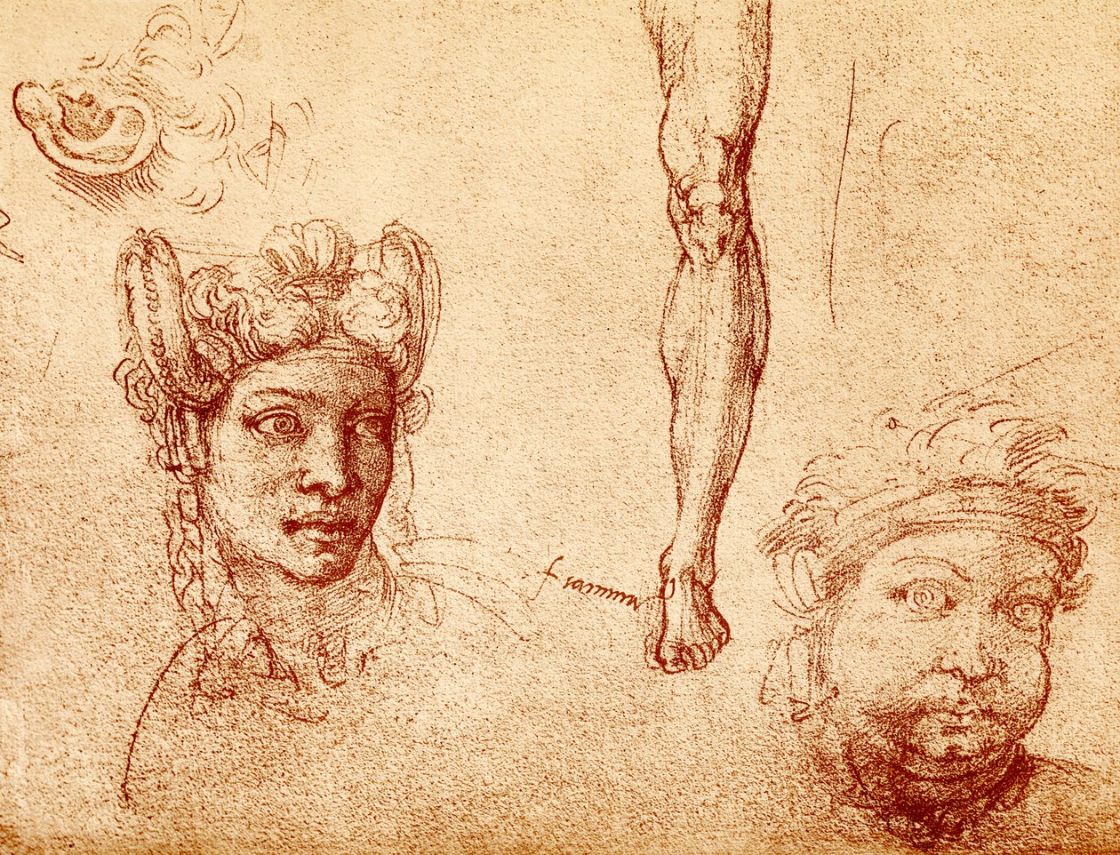 Studien von Kopf und Bein von Francesco Ubertini Bacchiacca