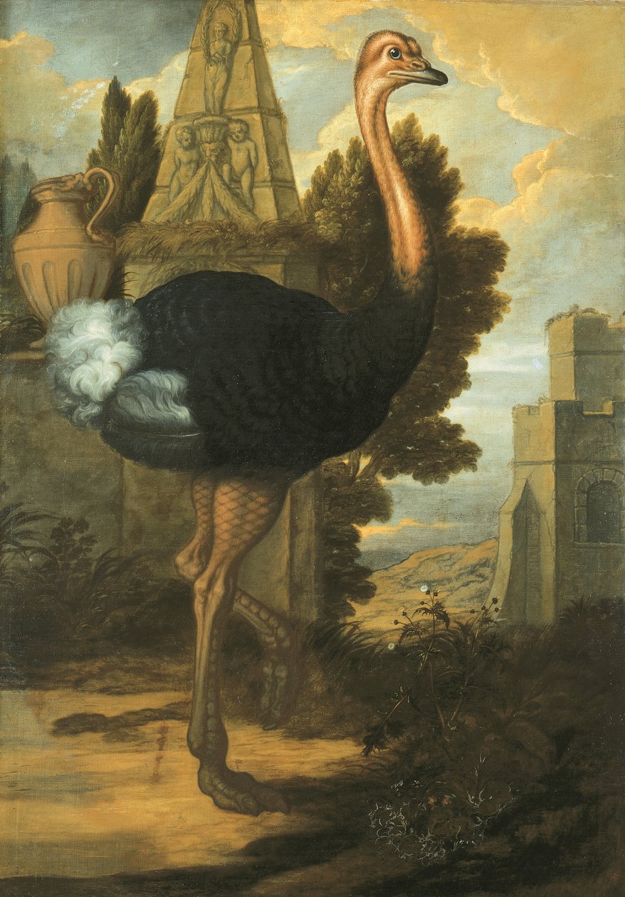 Ein Strauß von Francis Barlow