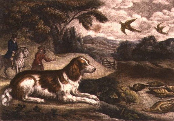 Jagdszene von Francis Barlow