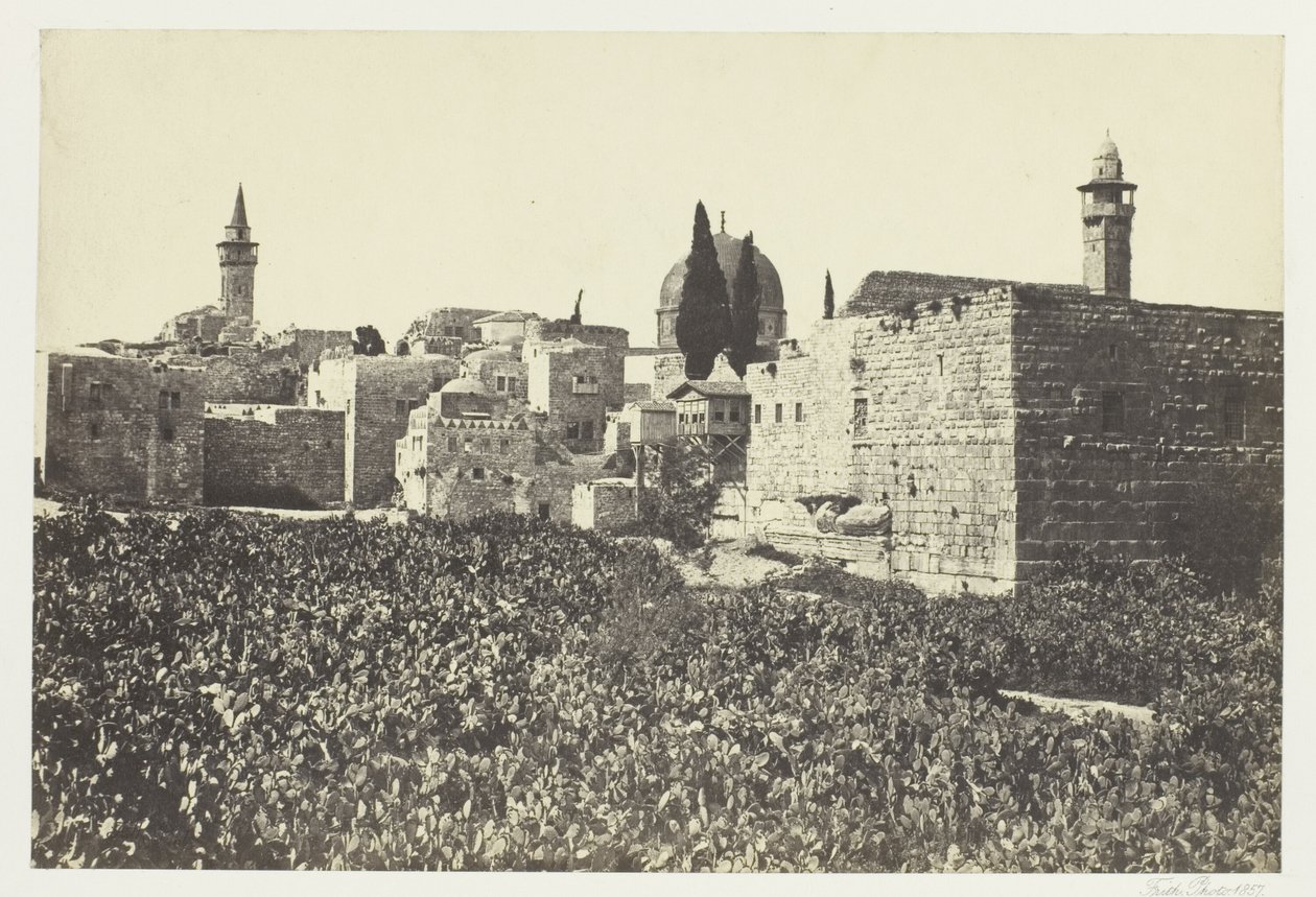 Das Tiroler Tal von Francis Frith