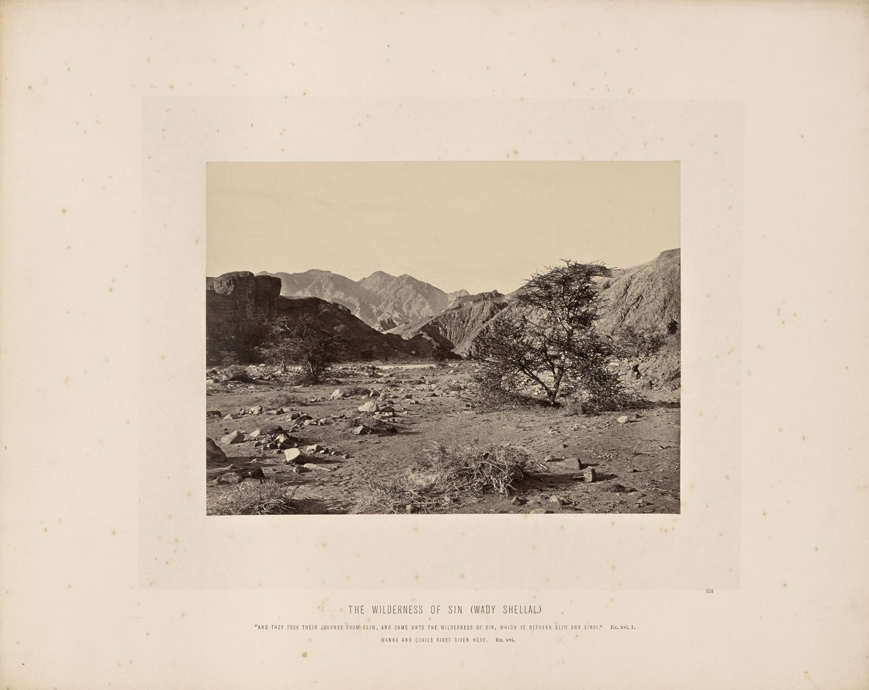 Die Wüste Sin (Wady Shellal) von Francis Frith